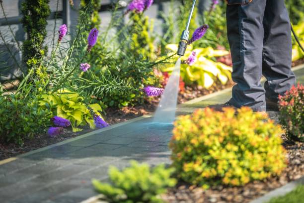 Reliable Laguna Vista, TX  Pressure Washing Services Solutions